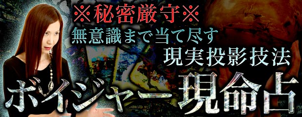 最新リリースコンテンツ