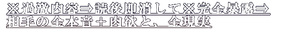 ��������Ƣ��ɸ�¨�ä��Ƣ�����˽Ϫ���������ܲ������ߤȡ�������