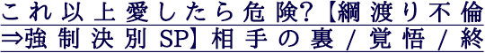 これ以上愛したら危険?【綱渡り不倫⇒強制決別SP】相手の裏/覚悟/終 これ以上愛したら危険?【綱渡り不倫⇒強制決別SP】相手の裏/覚悟/終
