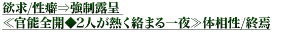 ߵ/ʢͶϪ 㴱ǽ2ͤǮޤ/