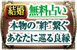 �뺧��̵���ꤤ����ʪ�Ρ�嫡ɷҤ������ʤ��˽���ɱ�