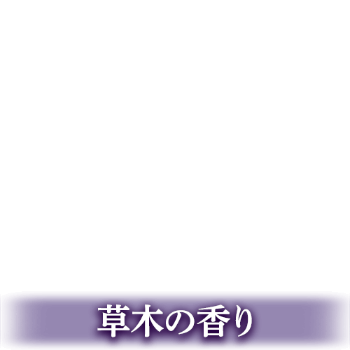 ǰ