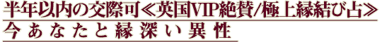 ȾǯθݲĢѹVIP仿/˾亣ʤȱ￼