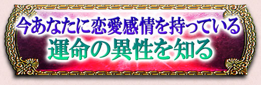 ʤäƤ뱿̿ΰΤ