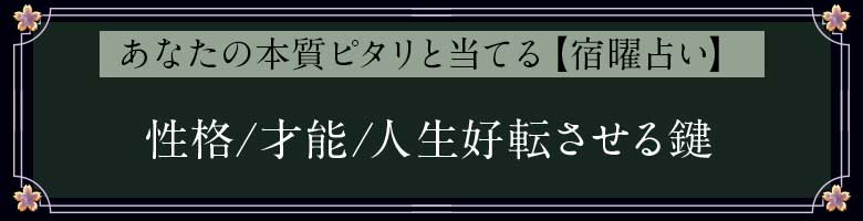 ���ʤ����ܼ��ԥ�������Ƥ�ڽ����ꤤ��
����/��ǽ/������ž���븰