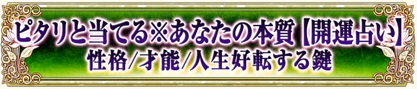 ���ʤ����ܼ��ԥ�������Ƥ�ڿ�����ž�����
����/��ǽ/���פ������