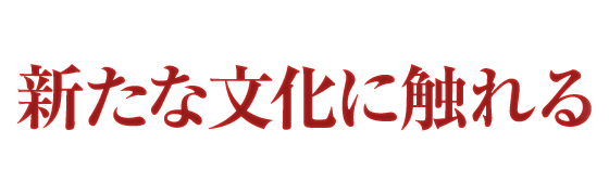 ƥѥ꡼ǥ