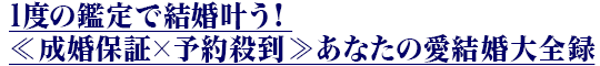 1度の鑑定で結婚叶う!≪成婚保証×予約殺到≫あなたの愛結婚大全録 1度の鑑定で結婚叶う!≪成婚保証×予約殺到≫あなたの愛結婚大全録