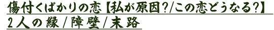 դФڻ䤬/ɤʤ롩2ͤα//ϩ